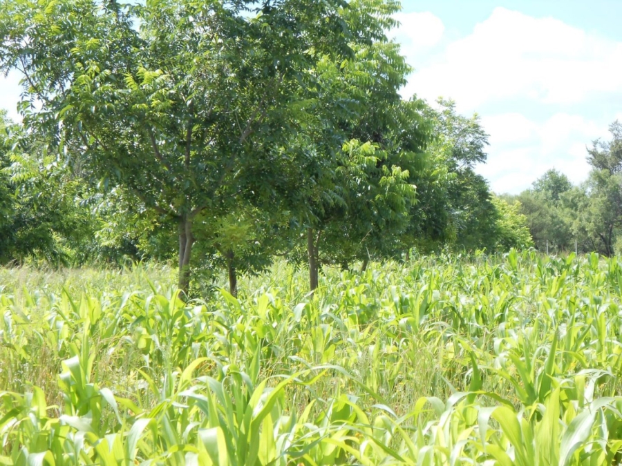 Commercial Property for Sale in Groot Marico Rural North West